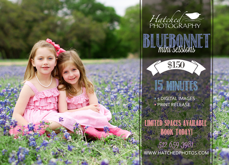 Bluebonnet Mini Session 2015 austin